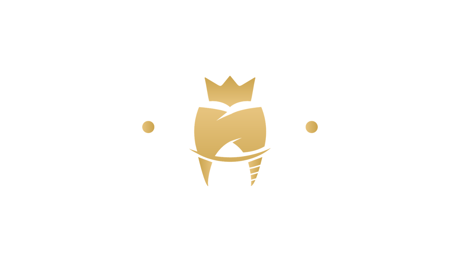 Dr/ Abdelrahman Amin